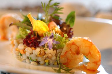 Salat von mariniertem Getreide